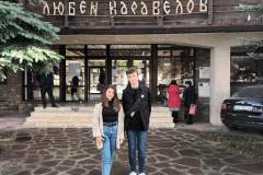 Кисело зеле
