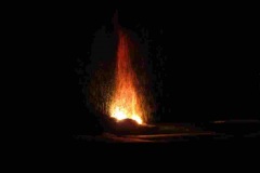 IMG_1775